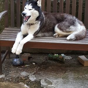 Meet your Posher, Annemarie